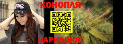 spice Заводоуковск