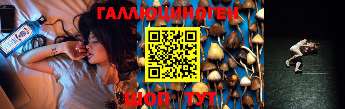 Псилоцибиновые грибы прущие грибы Дальнереченск