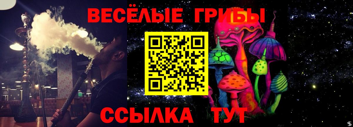 Псилоцибиновые грибы Cubensis  Вход с VPN  Дальнереченск  Псилоцибиновые грибы мицелий 